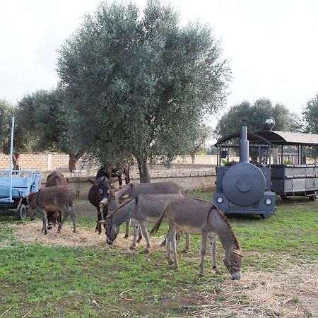 Masseria Grande Taurisano Bagian luar foto