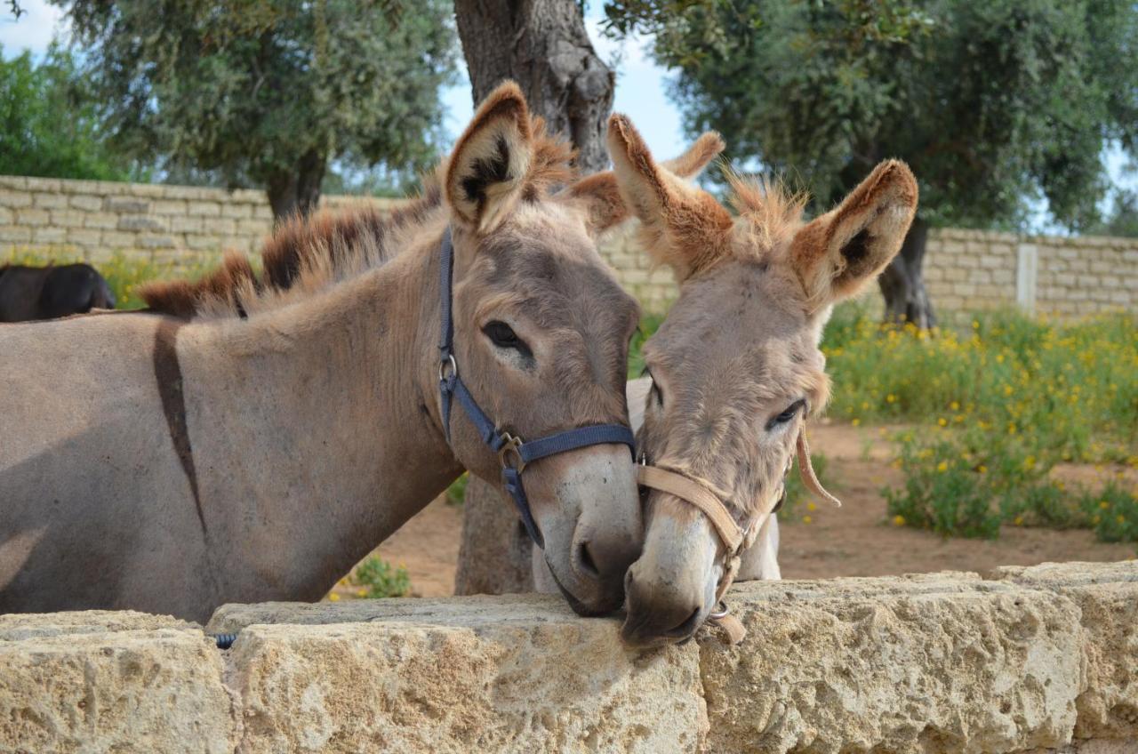 Masseria Grande Taurisano Bagian luar foto
