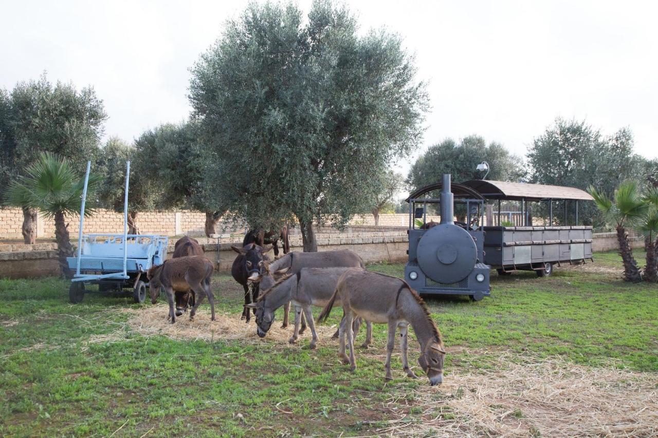 Masseria Grande Taurisano Bagian luar foto